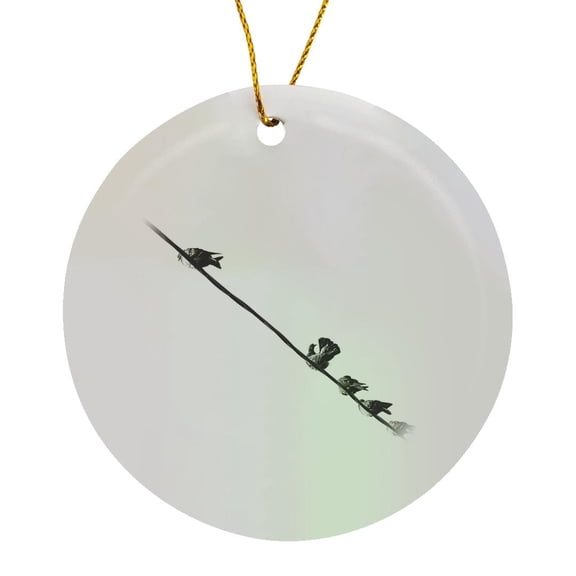 3drose, Doves or Pigeon Birds on a Diagonal Wire. Keep Your Chin and Tail Up, Circle Porcelain Ornament