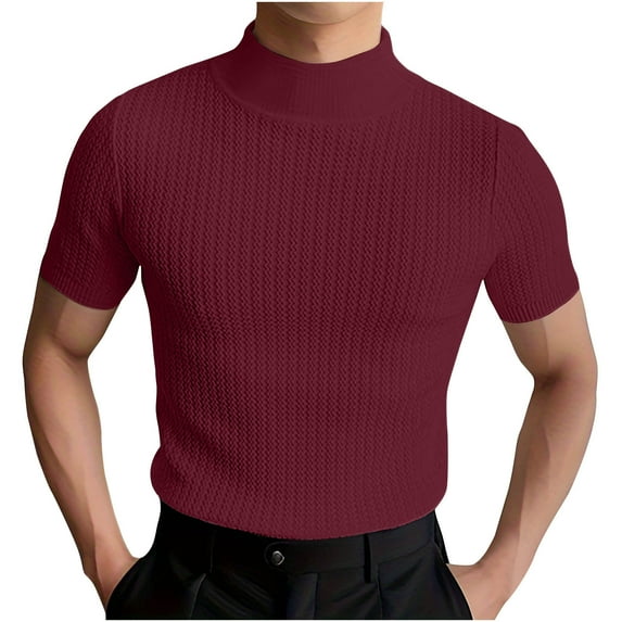 Dovford Mens Mock Turtleneck Sweater Short Sleeve Solid Color T-Shirts Basic Slim Fit Knitted Pullover Tees