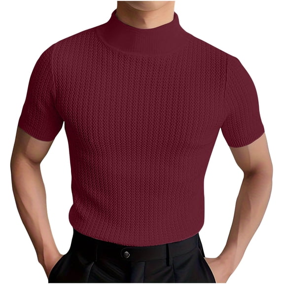 Dovford Mens Mock Turtleneck Sweater Short Sleeve Solid Color T-Shirts Basic Slim Fit Knitted Pullover Tees