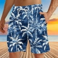 thumbnail image 1 of Dovford Mens Swim Trunks Quick Dry Board Shorts with Zipper Pockets Bathing Suit, 1 of 4