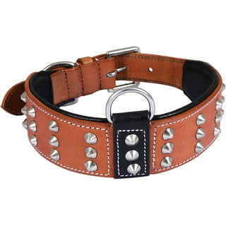 Dog collar with spikes inside 2025