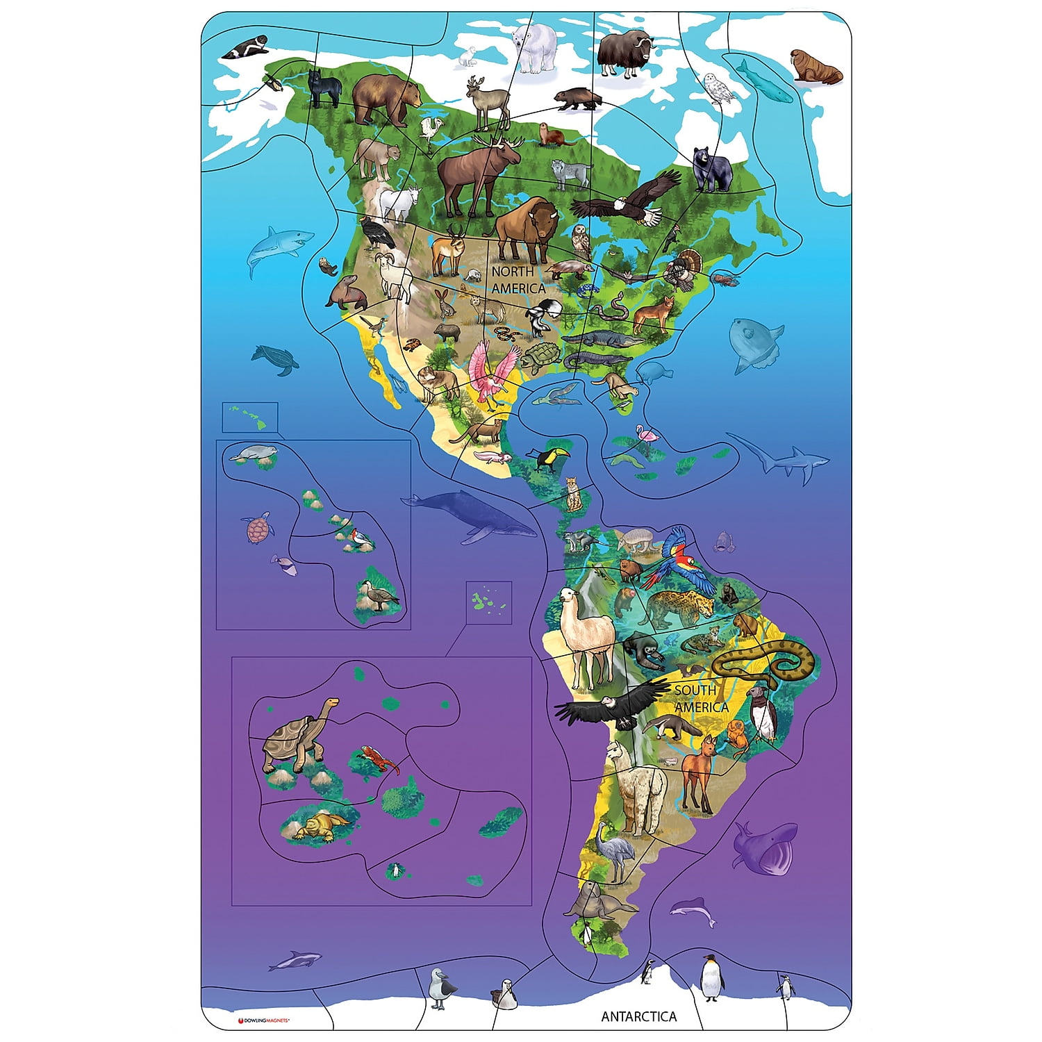 Dowling Magnets Animal Magnetism Magnetic Wildlife Map Puzzle: North & South America Grades PreK-4