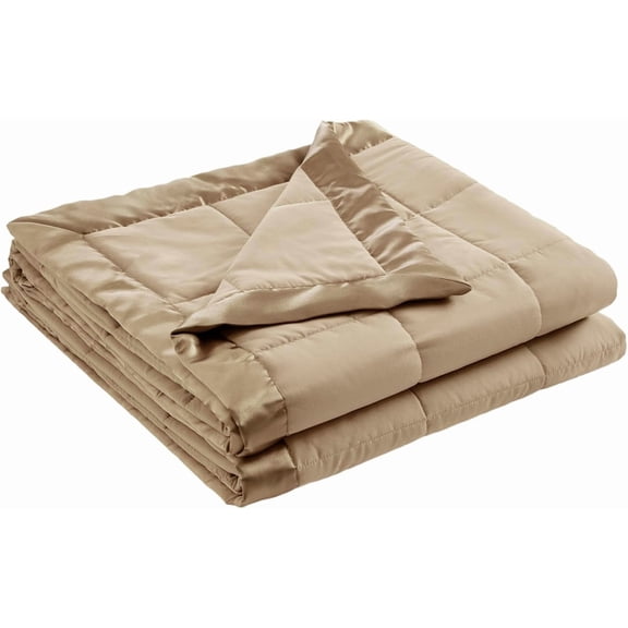 Down Alternative Blanket, Lightweight Soft Bed Cover with Moisture Wicking Treatment and Satin Trim, Full Queen