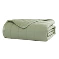 thumbnail image 1 of Beatrice Home Fashions, Down Alt Blanket with Satin Trim, Full/Queen, Sage, 1 of 6