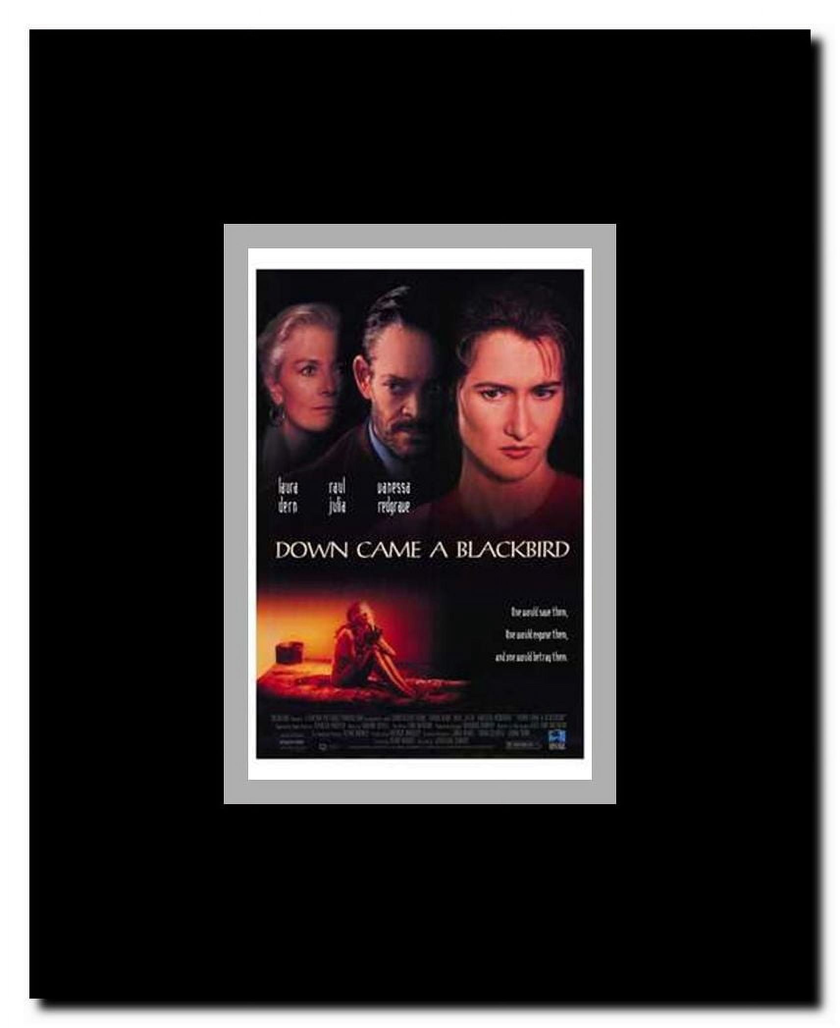 Down Came a Blackbird Framed Movie Poster