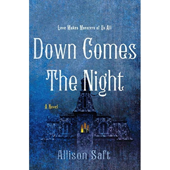 Down Comes the Night : A Novel (Hardcover)