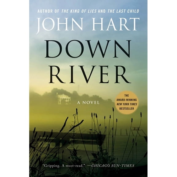 Down River : A Novel (Paperback)