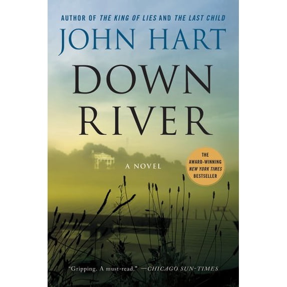 Pre-Owned Down River (Paperback) 1250024390 9781250024398