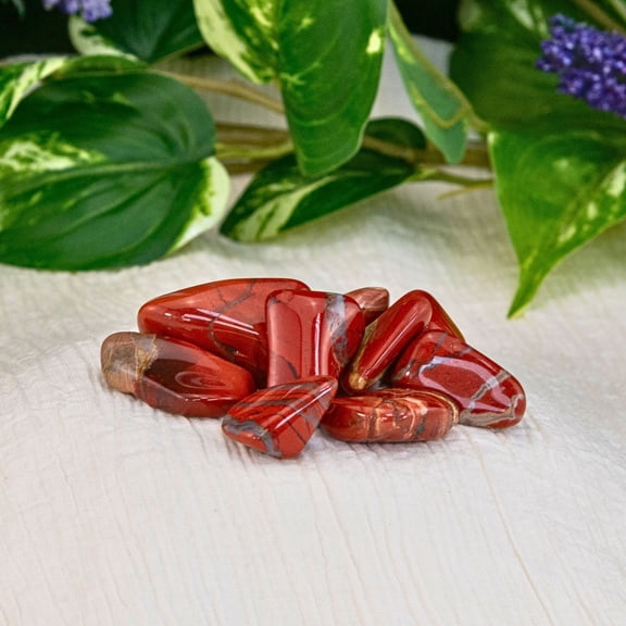 Down To Earth Tumbled Red Jasper 1lb