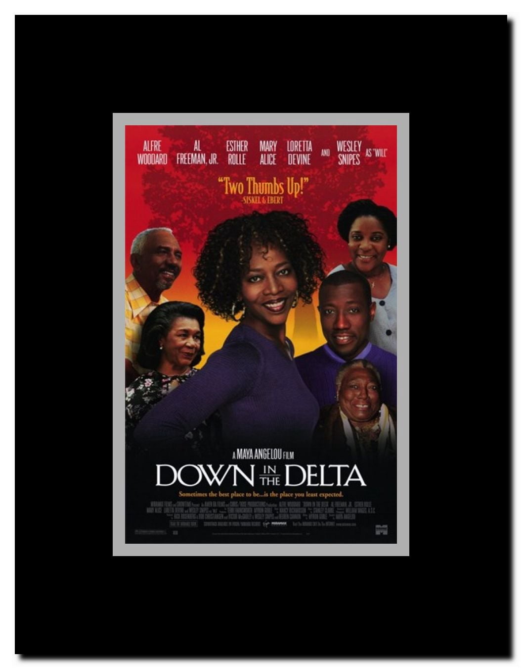 Down in the Delta Framed Movie Poster
