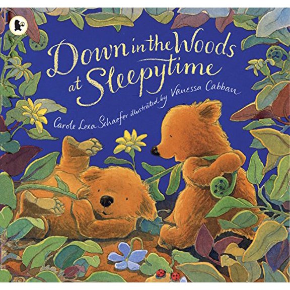 Pre-Owned Down in the Woods at Sleepytime Paperback