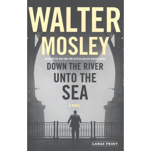 Pre-Owned Down the River Unto the Sea (Hardcover) 0316439983 9780316439985