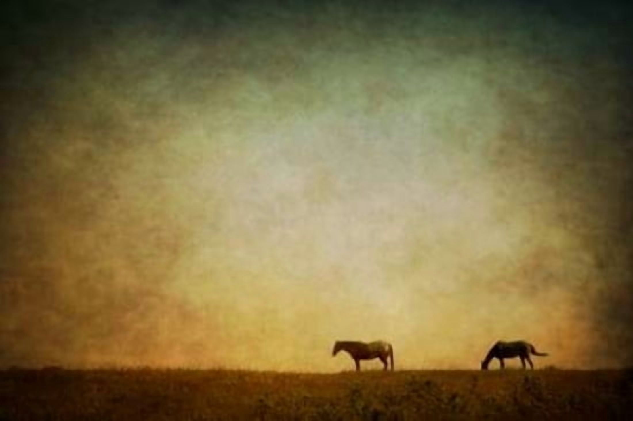 Down to Earth Canvas Art - Roberta Murray (20 x 28)