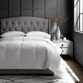 thumbnail image 1 of All Season Hypoallergenic  EnviroLoft® Down Alternative Hotel Comforter by DOWNLITE®, 1 of 4