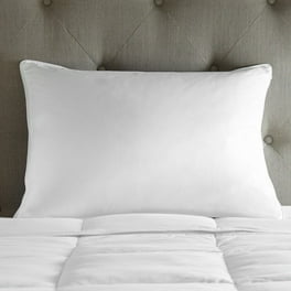 Charter Club Standard Queen Size Pillow 50 European Feather Down Filled Hypoallergenic UltraClean White Walmart
