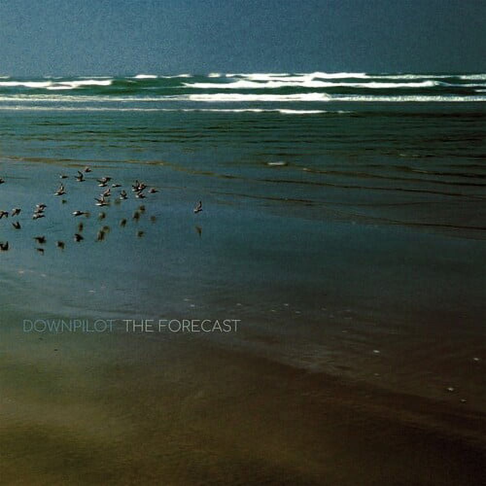 Downpilot - The Forecast - Music & Performance - Vinyl