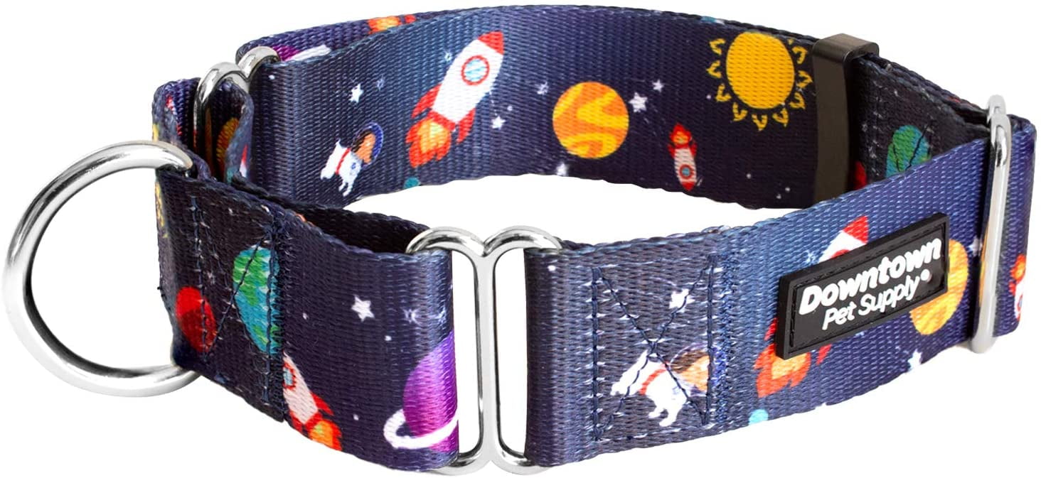 Downtown Pet Supply Big and Wide Durable Martingale Training Collars