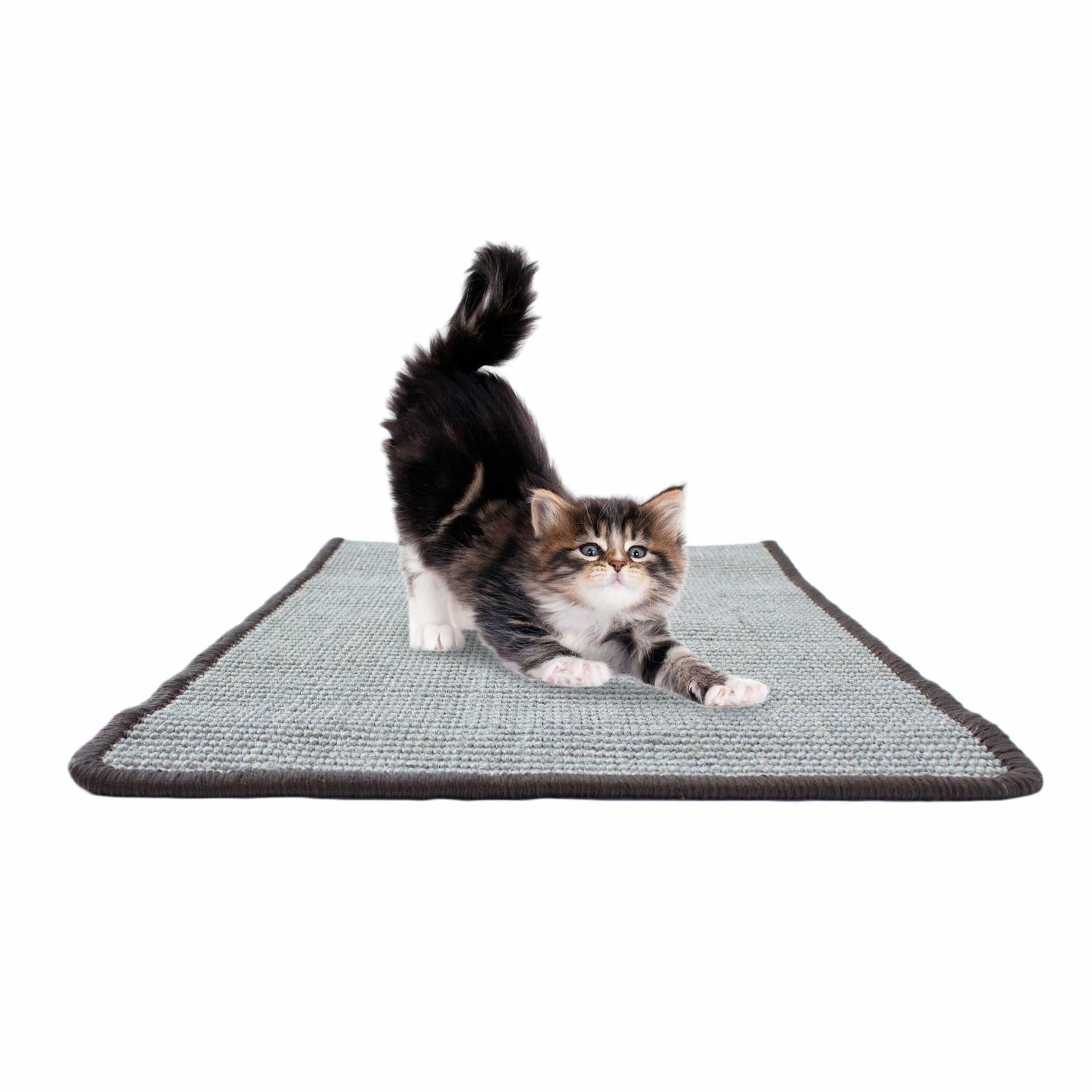 Sisal top scratching mat