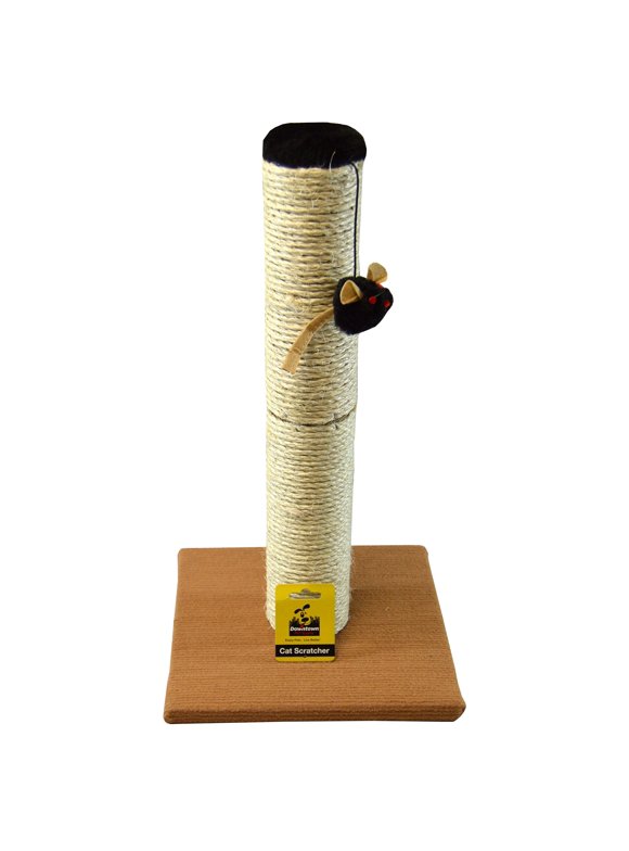 Cat Scratchers in Cats