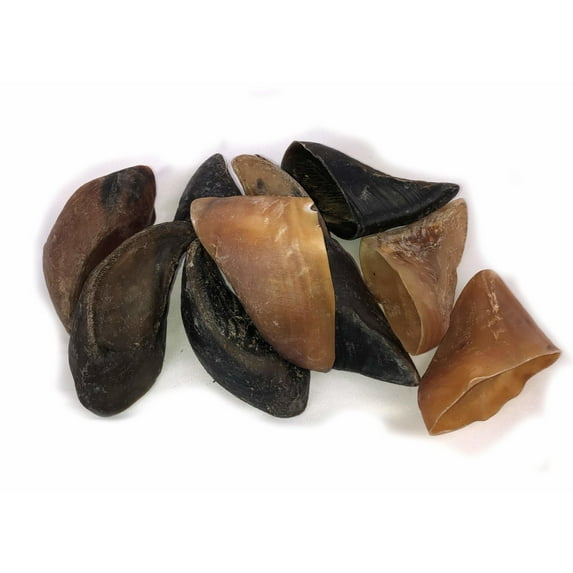 Downtown Pet Supply Dog Bones Plain Flavor Dog Chew bones 10 Pack Cow Hooves