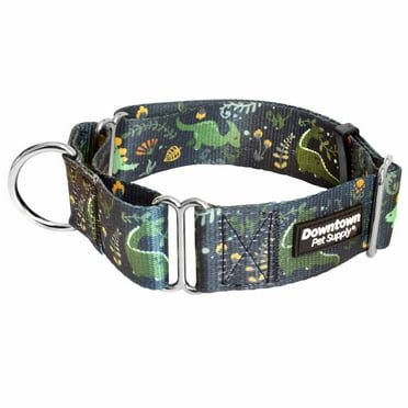 Downtown Pet Supply Dog Collars for Large Dogs Wide Dog Collar Dino, L