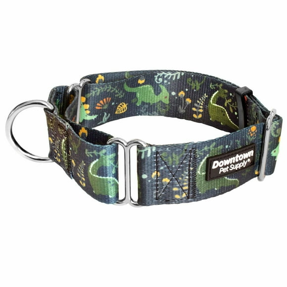 Downtown Pet Supply Dog Collars for Large Dogs Wide Dog Collar Dino, L