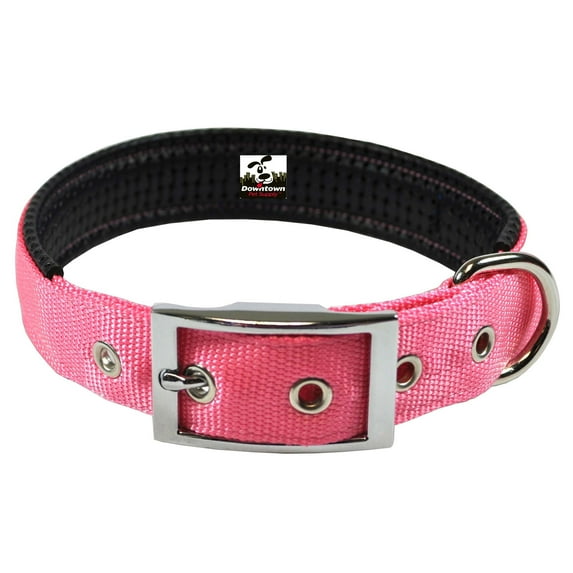 Downtown Pet Supply Dog Collars for Medium Dogs Padded Dog Collar Pink, M