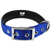 Downtown Pet Supply Dog Collars for Small Dogs Padded Dog Collar Blue, S