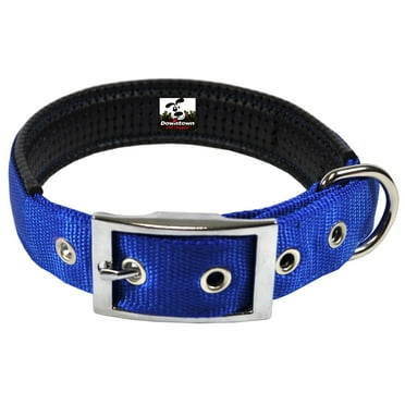 Downtown Pet Supply Dog Collars for Small Dogs Padded Dog Collar Blue, S