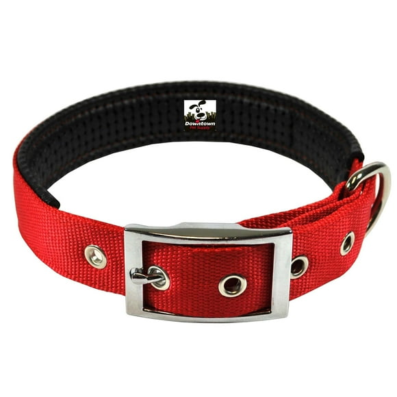 Downtown Pet Supply Dog Collars for Small Dogs Padded Dog Collar Red, S