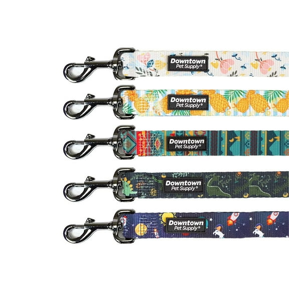 Downtown Pet Supply Dog Leash, Padded Handle, Dog Training Leash, Pineapple, 6'x1"