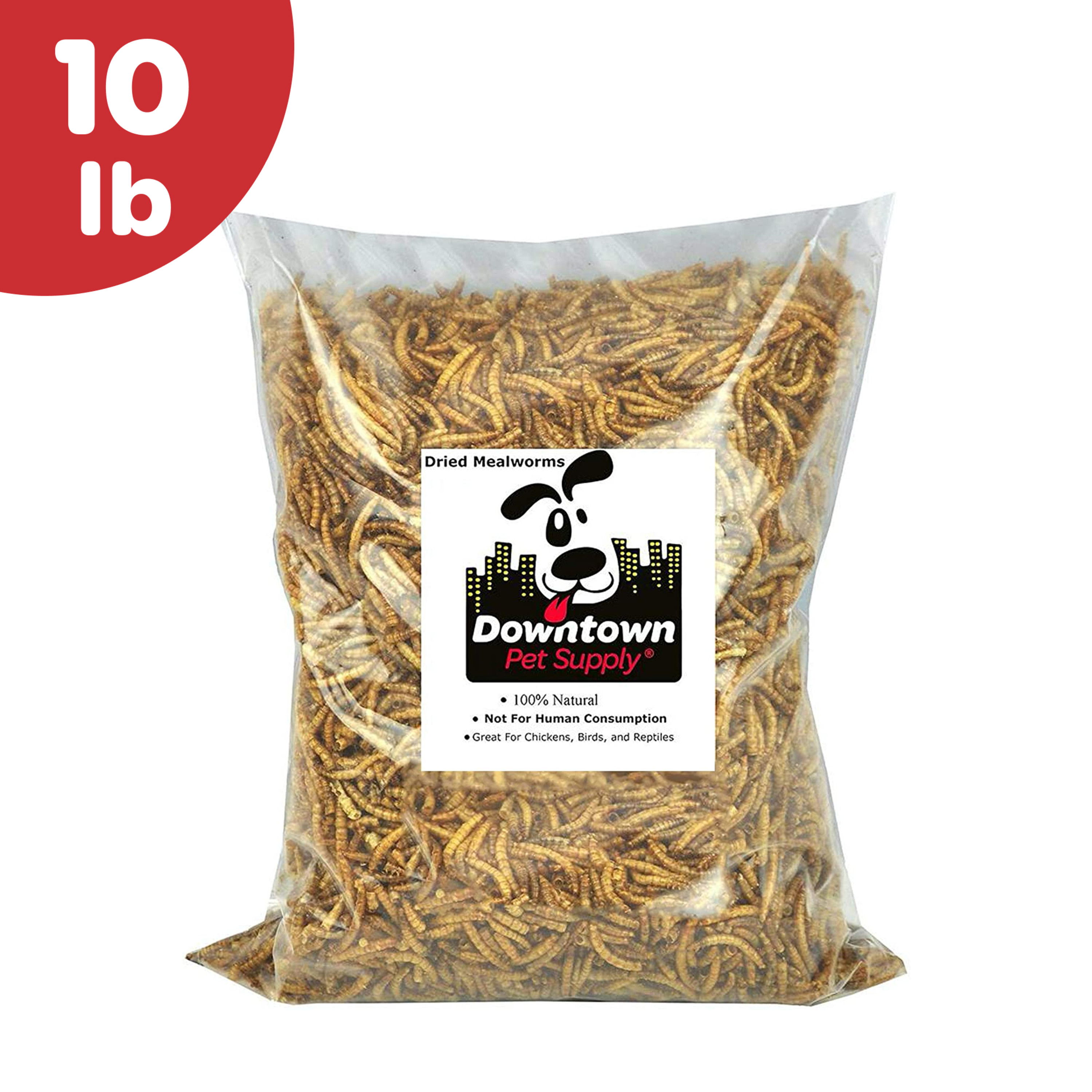 11 LBS Bulk Dried Mealworms for Wild Birds, Chichens, Duck etc