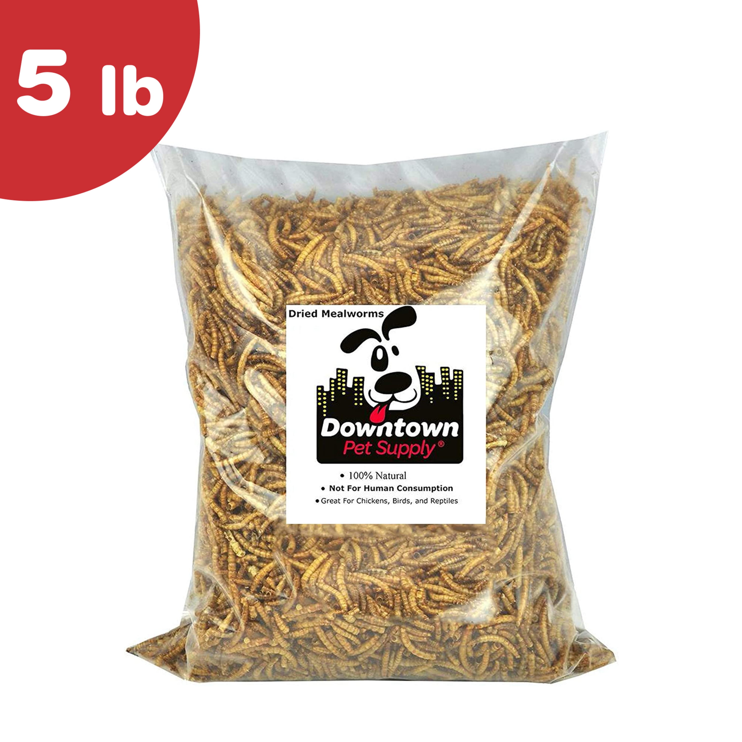 Downtown Pet Supply Dried Mealworms for Birds, Chicken Feed, 5 lb Bag