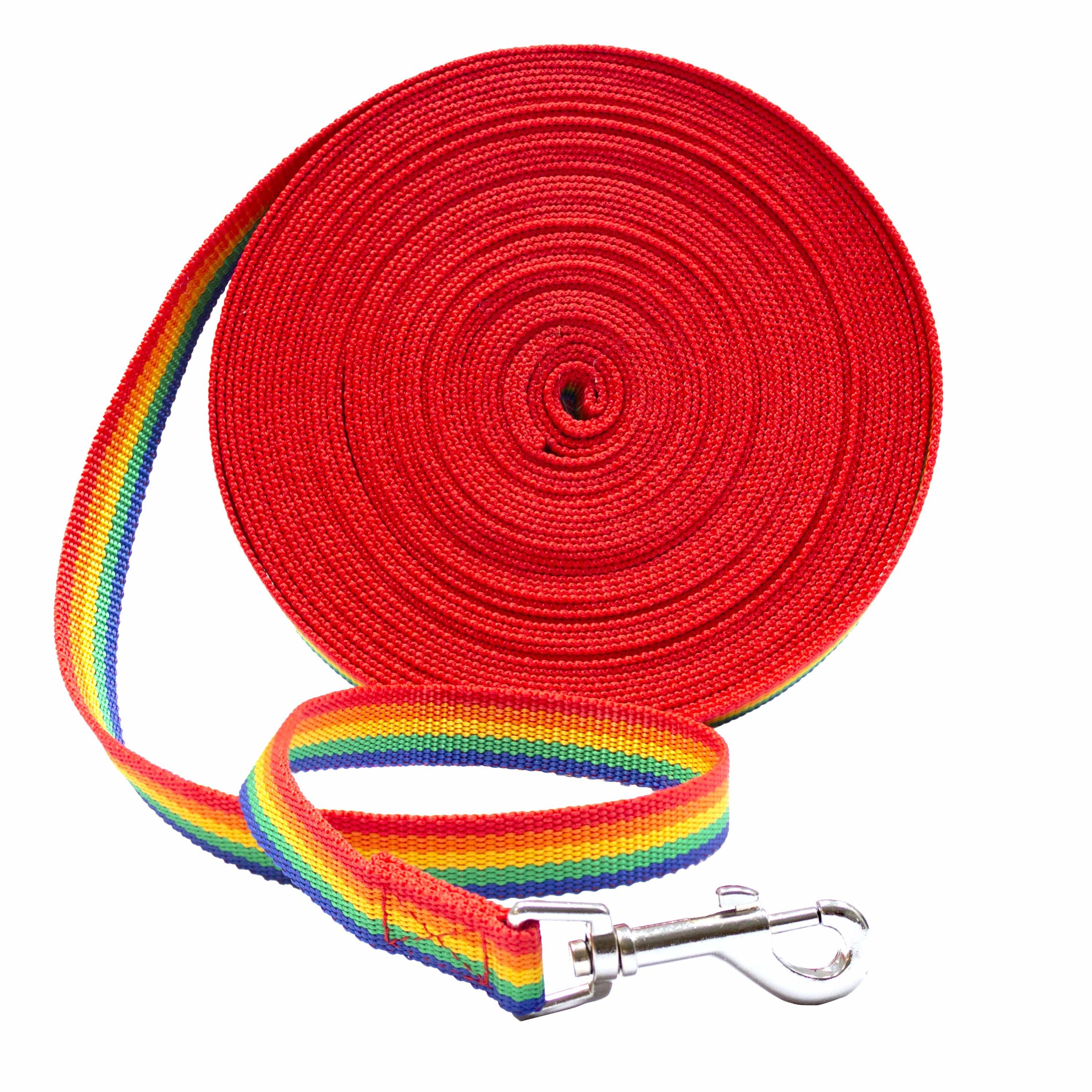 Downtown Pet Supply Long Lead Leash for Dog Training, Rainbow, 30' Dog