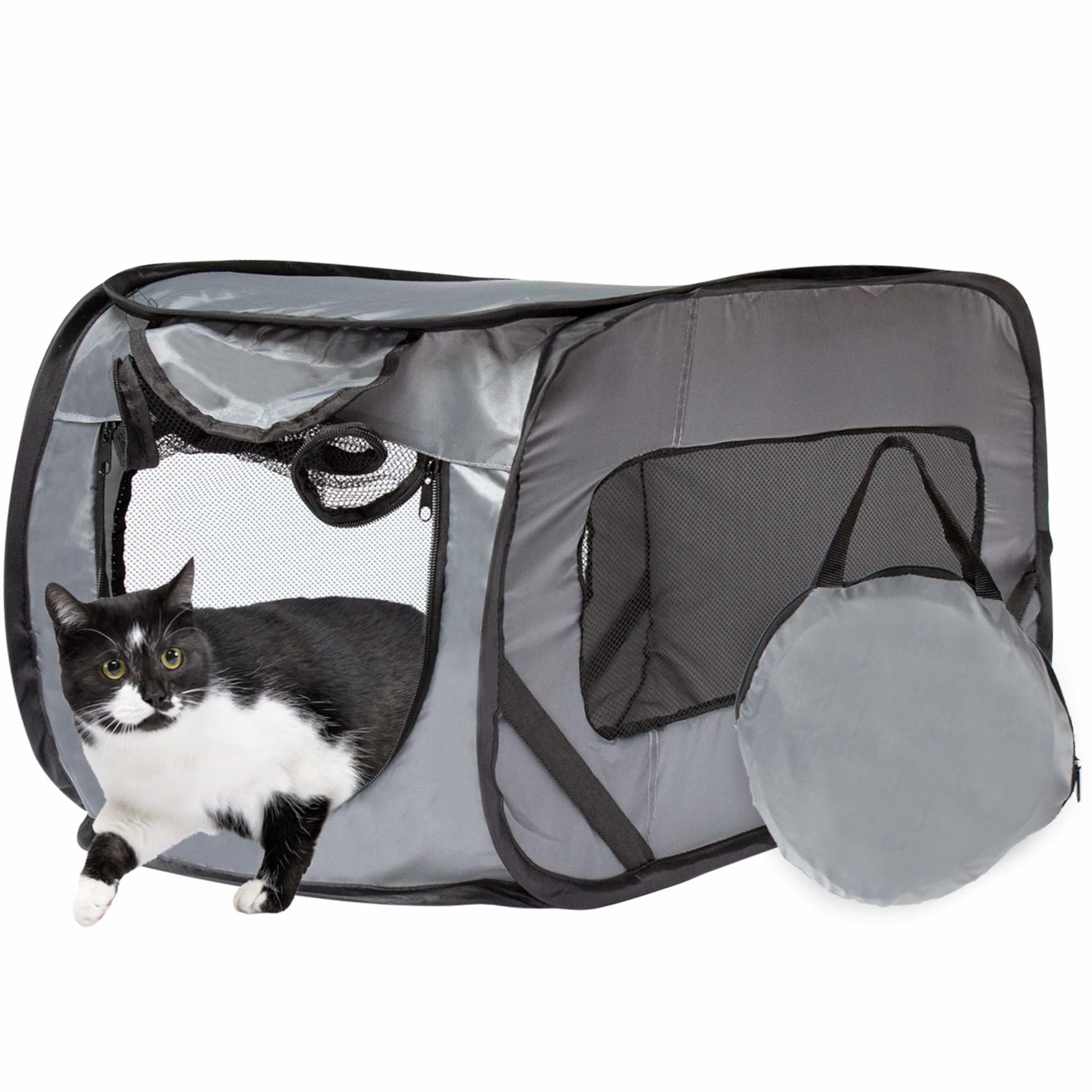 https://i5.walmartimages.com/seo/Downtown-Pet-Supply-Pet-Carriers-for-Cats-and-Dogs-Collapsible-Dog-Carrier-Giant_67d256b4-923f-4c53-96d1-773973c7ebb2.a6d69f3aff57069fca7cf4c15d682f57.jpeg