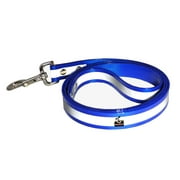 Downtown Pet Supply Reflective Dog Leash, Durable Safety Leash for Dogs, Blue