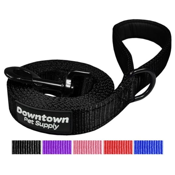 Downtown Pet Supply Reflective Dog Leash with Padded Handle, Black Leash for Dogs