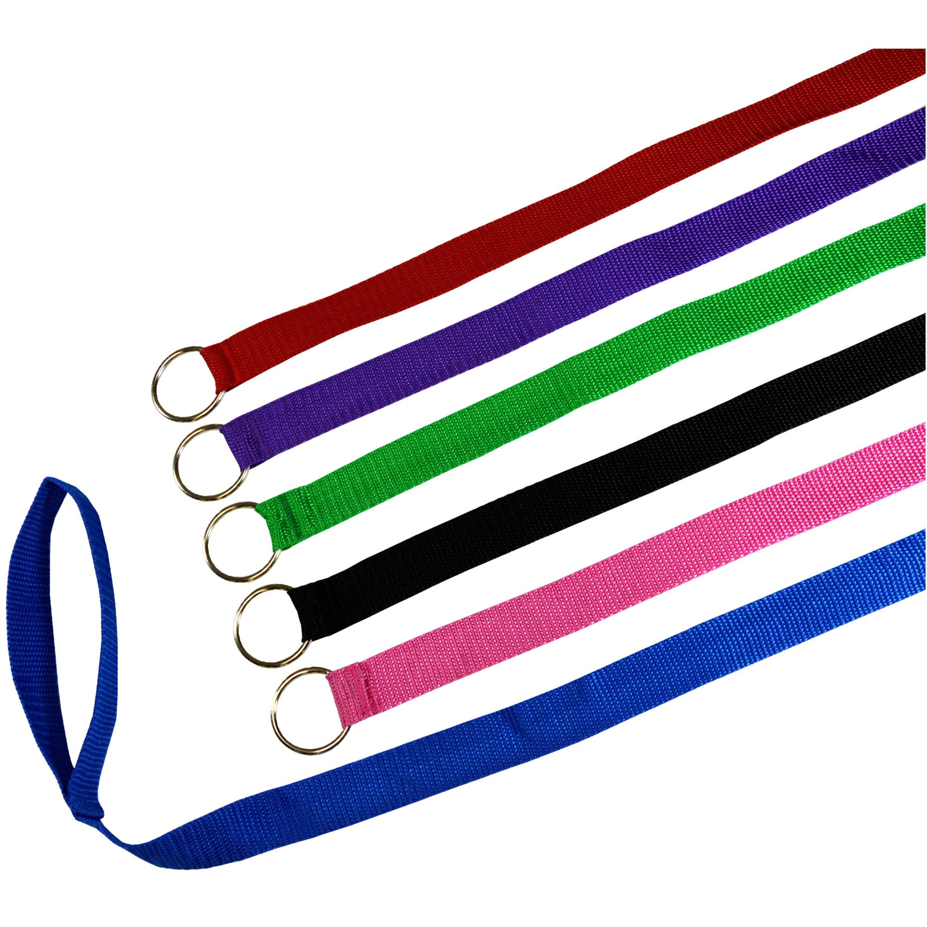 Downtown Pet Supply Slip Lead Dog Leash, Universal Slip Leash, O Ring, 12 Pk