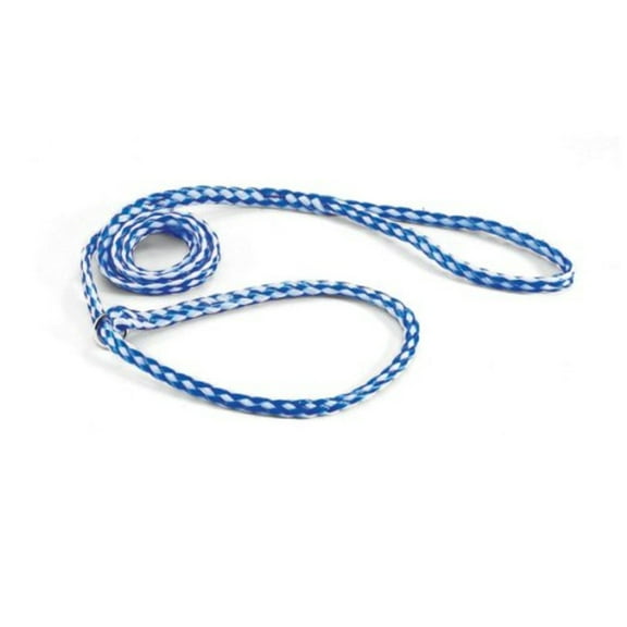 Downtown Pet Supply Universal Slip Lead Dog Leash, Braided Slip Leash, Light Blue