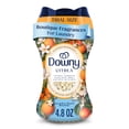 thumbnail image 1 of Downy Boutique Botanicals In Wash Laundry Scent Booster Beads, CITREA Scent, 4.8 oz, 1 of 13