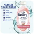 thumbnail image 1 of Downy Rinse Out Odor Laundry Rinse, Tackles Tough Odors and Refreshes, Spring Breeze Scent, 36.7 fl oz, 1 of 15