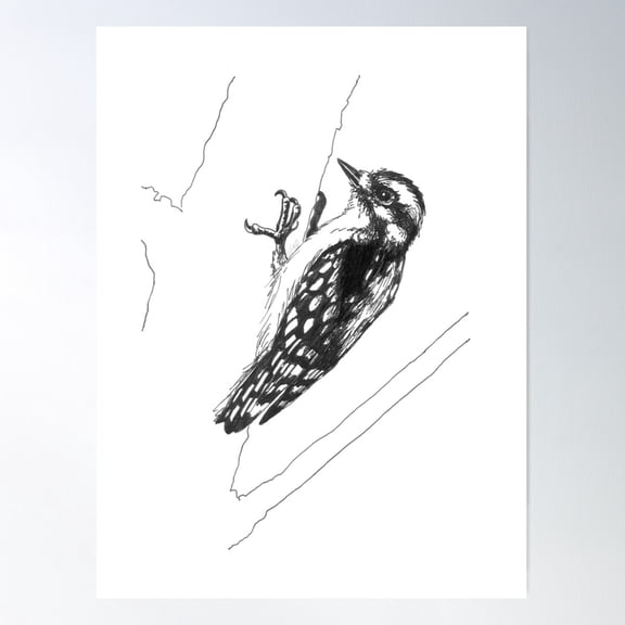 Downy Woodpecker Drawing Poster Wall Art, Modern Wall Decor For Living Room Bedroom, 8x12 UNFRAMED