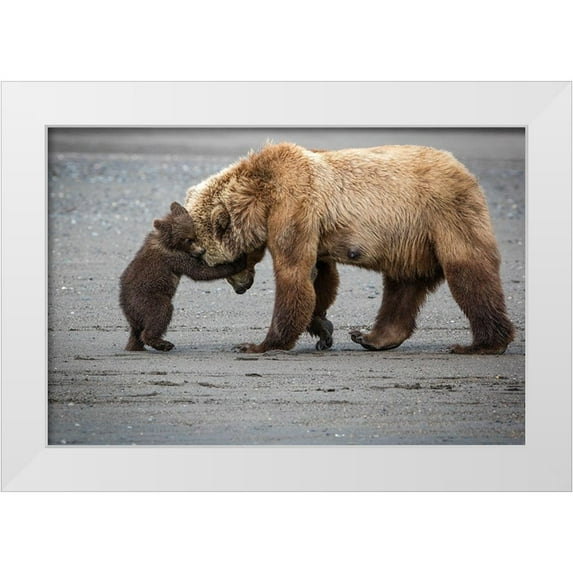 Doyle, Renee 14x11 White Modern Wood Framed Museum Art Print Titled - A Little Bear Hug