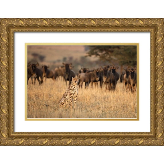 Doyle, Renee 18x13 Gold Ornate Wood Framed with Double Matting Museum Art Print Titled - Aware
