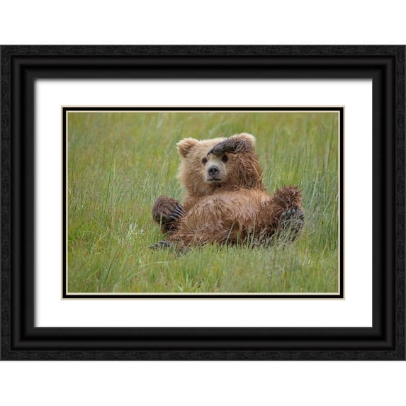 Doyle, Renee 32x23 Black Ornate Wood Framed with Double Matting Museum Art Print Titled - Whos There ?