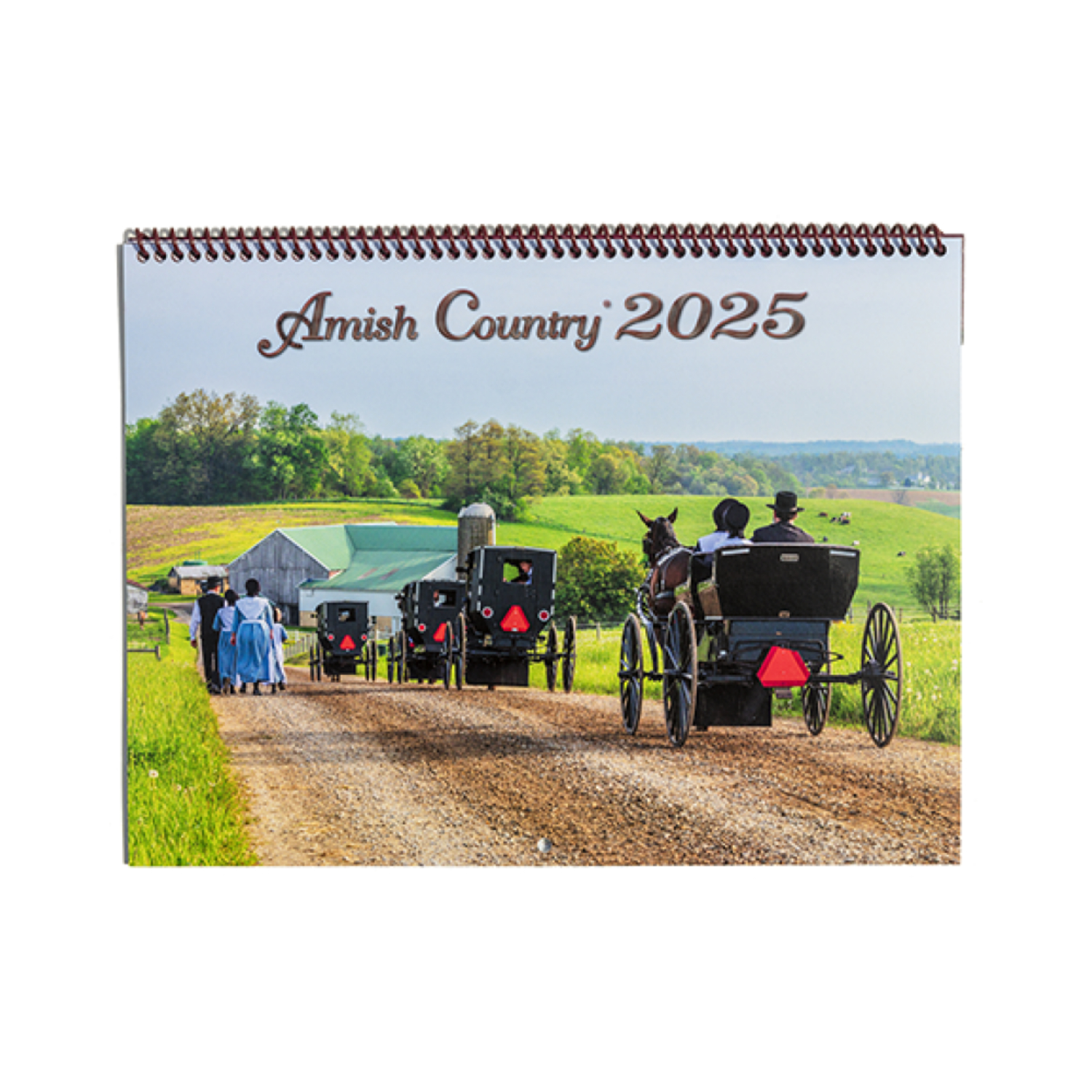 Doyle Yoder Amish Country 2025 Wall Calendar, 12 x 18 inch, Scenic