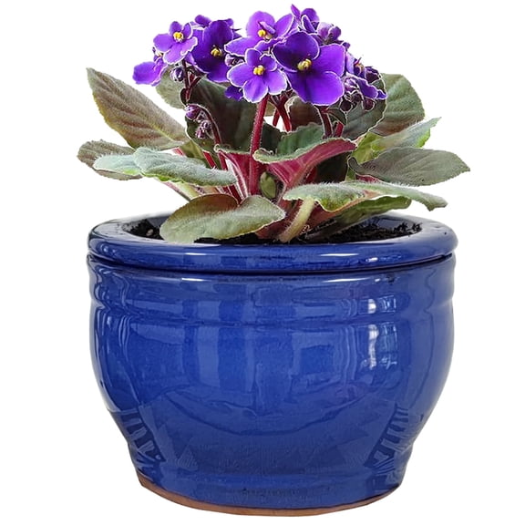 Dphagesy 6 inch Blue Self Watering African Violet Pot with Water Reservoir, Water-Absorbing  Ceramic Inner Pot, Bottom Watering Indoor Planter, Keeps Leaves Dry(Plants Are not Included)