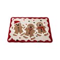thumbnail image 1 of Dpityserensio Christmas Bath Mat,Non Slip Absorbent Rug for Bathroom Kitchen, Winter Holiday Decor, 1 of 6