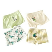 Dpytoraw 4PCS Cotton Little Boys Briefs Soft Dinosaur Truck Toddler Underwear 2-3 Years