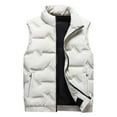 thumbnail image 1 of Dpytoraw Autumn And Winter New Down Men Stand Collar Vest Plus Fat And Thick Casual Warm Vest, 1 of 5